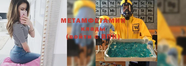 прущие грибы Костерёво