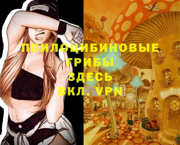 прущие грибы Костерёво