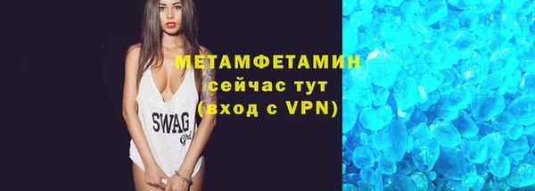 прущие грибы Костерёво