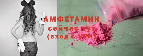 прущие грибы Костерёво