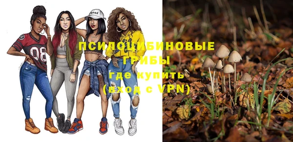 прущие грибы Костерёво