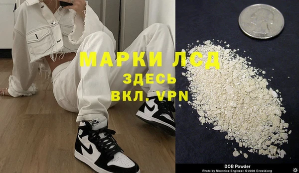 прущие грибы Костерёво