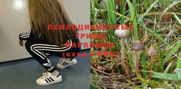 MESCALINE Корсаков
